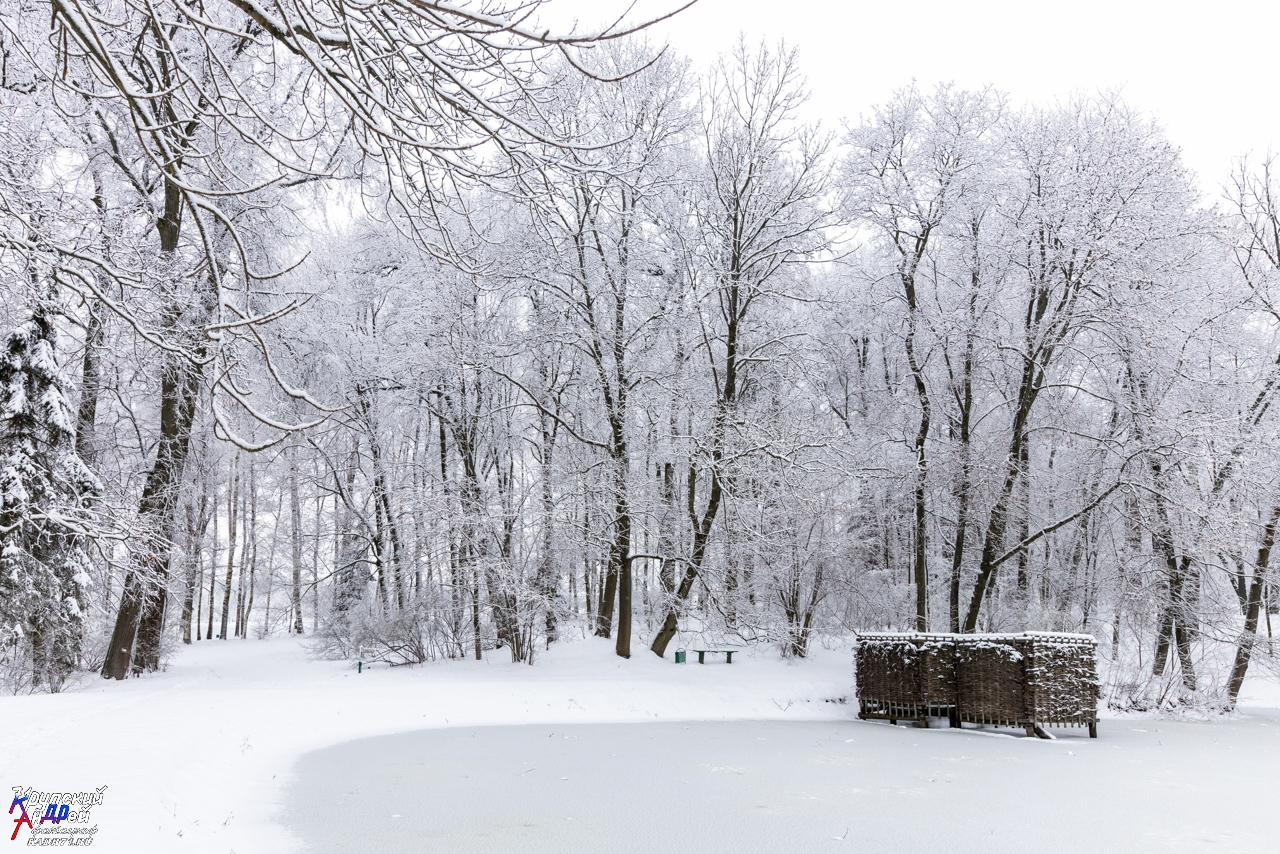 Усадьба Л. Н. Толстого «Ясная поляна» зимой. Фотограф в Туле Крупский АнДРей. Фотостудия «КАДР71» в Туле