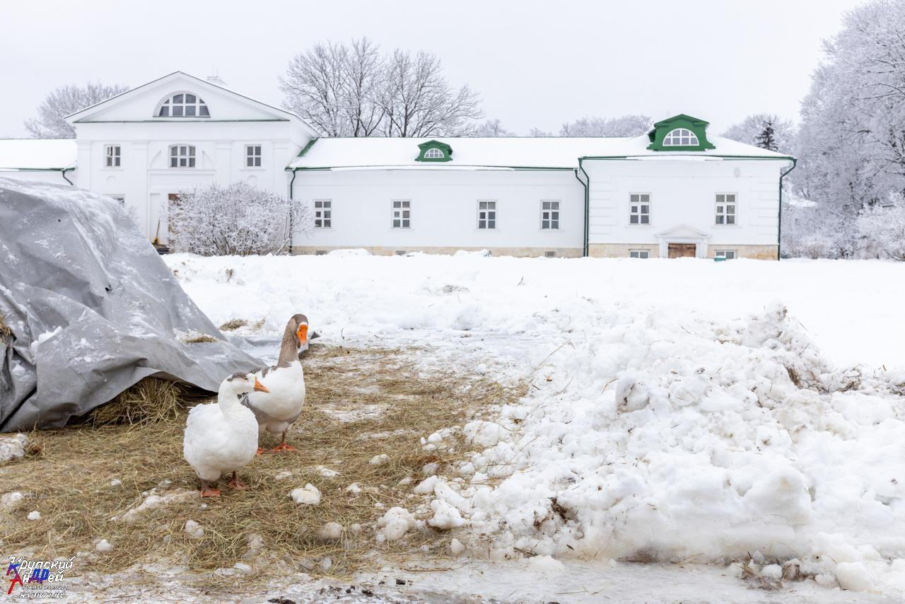 Усадьба Л. Н. Толстого «Ясная поляна» зимой. Фотограф в Туле Крупский АнДРей. Фотостудия «КАДР71» в Туле