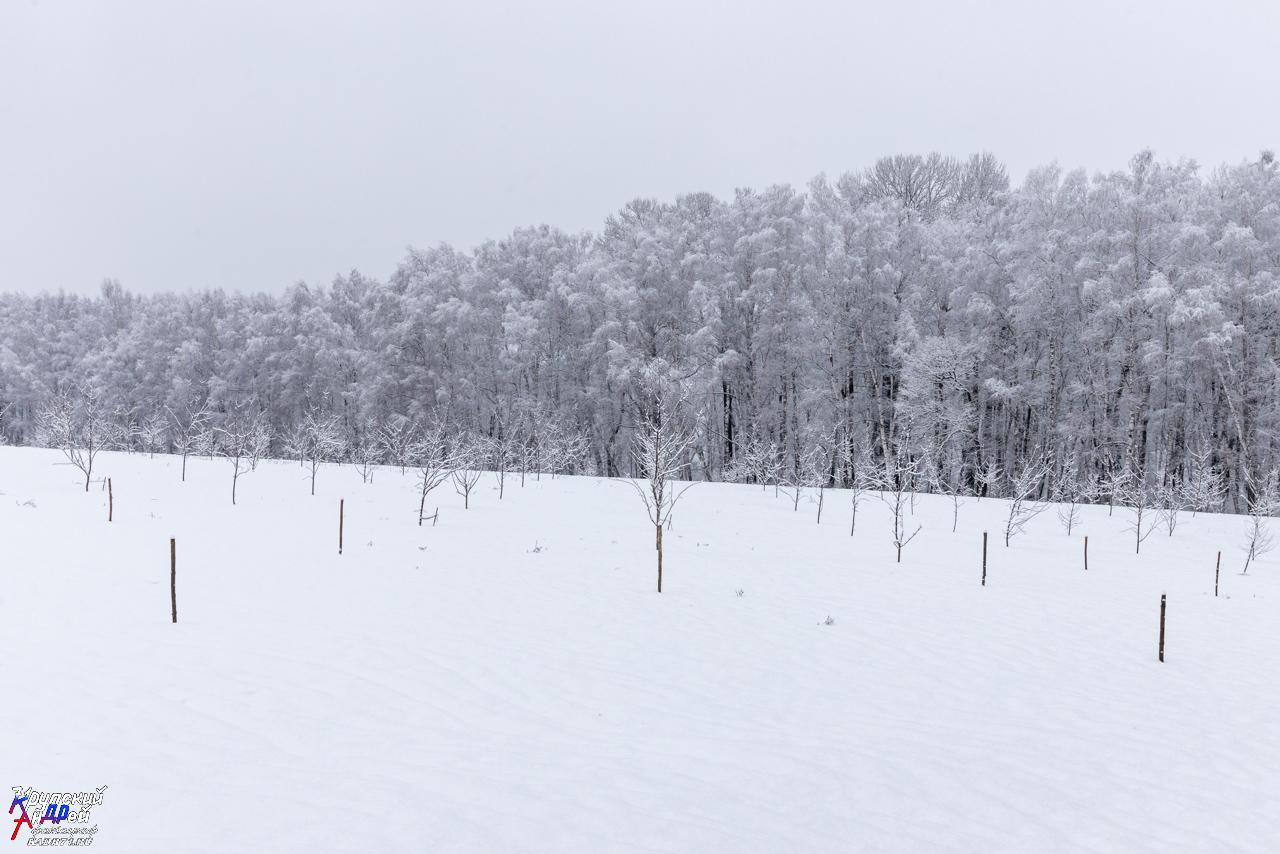Усадьба Л. Н. Толстого «Ясная поляна» зимой. Фотограф в Туле Крупский АнДРей. Фотостудия «КАДР71» в Туле