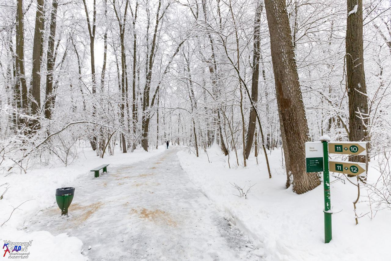 Усадьба Л. Н. Толстого «Ясная поляна» зимой. Фотограф в Туле Крупский АнДРей. Фотостудия «КАДР71» в Туле
