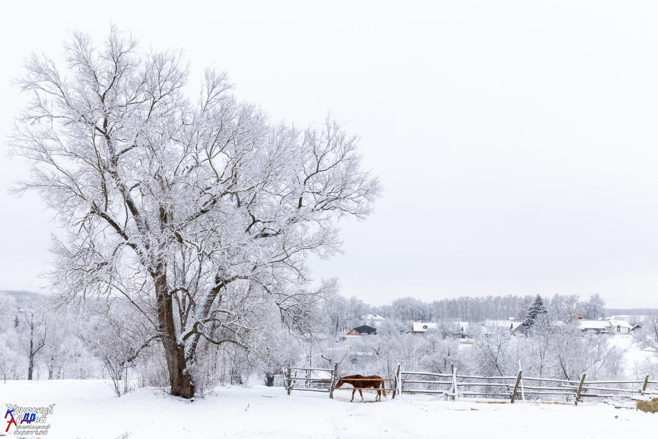 Усадьба Л. Н. Толстого «Ясная поляна» зимой. Фотограф в Туле Крупский АнДРей. Фотостудия «КАДР71» в Туле