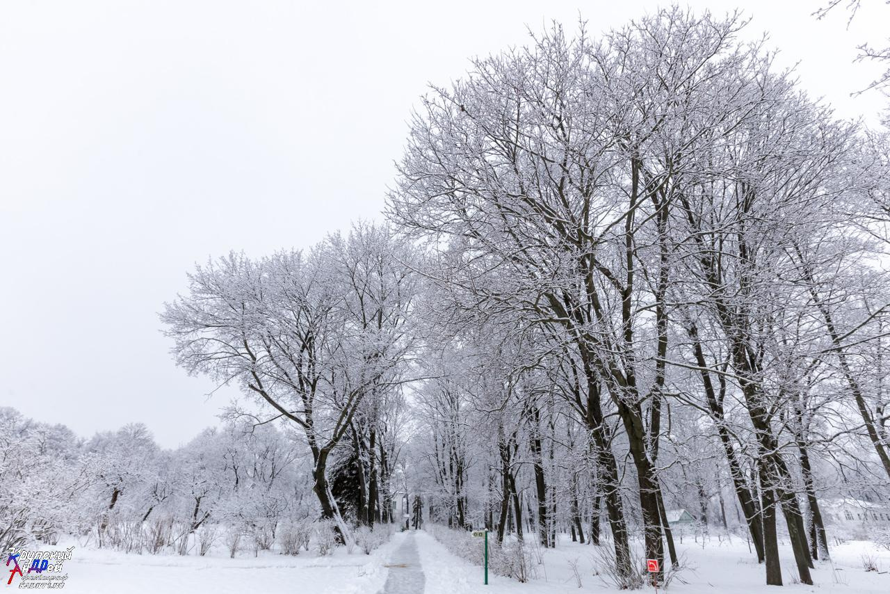 Усадьба Л. Н. Толстого «Ясная поляна» зимой. Фотограф в Туле Крупский АнДРей. Фотостудия «КАДР71» в Туле