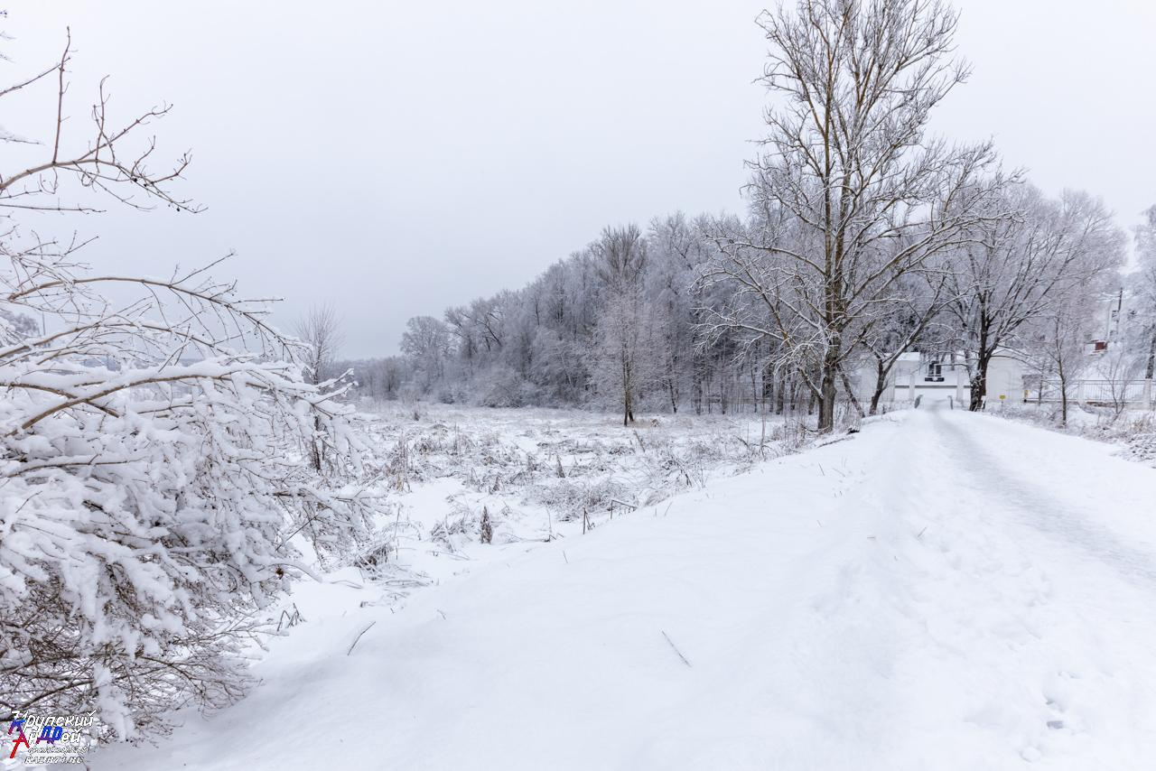 Усадьба Л. Н. Толстого «Ясная поляна» зимой. Фотограф в Туле Крупский АнДРей. Фотостудия «КАДР71» в Туле
