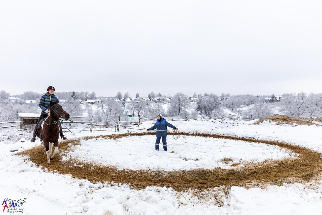 Усадьба Л. Н. Толстого «Ясная поляна» зимой. Фотограф в Туле Крупский АнДРей. Фотостудия «КАДР71» в Туле