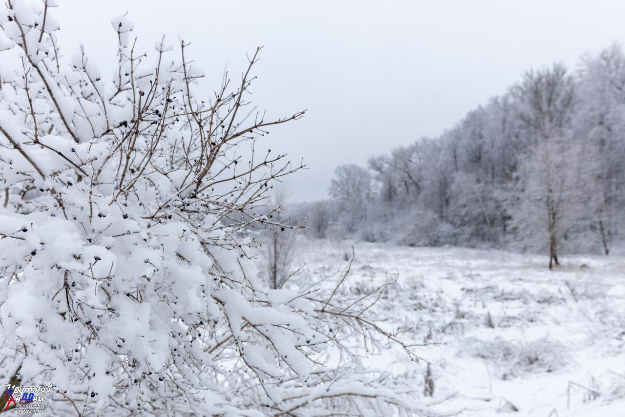 Усадьба Л. Н. Толстого «Ясная поляна» зимой. Фотограф в Туле Крупский АнДРей. Фотостудия «КАДР71» в Туле