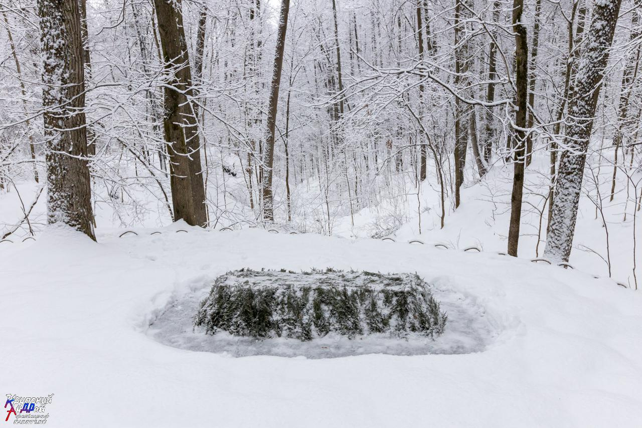 Усадьба Л. Н. Толстого «Ясная поляна» зимой. Фотограф в Туле Крупский АнДРей. Фотостудия «КАДР71» в Туле