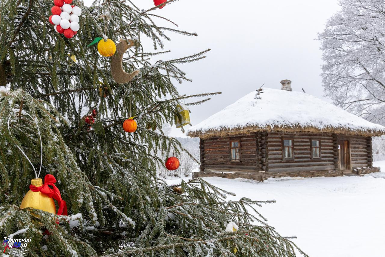Усадьба Л. Н. Толстого «Ясная поляна» зимой. Фотограф в Туле Крупский АнДРей. Фотостудия «КАДР71» в Туле
