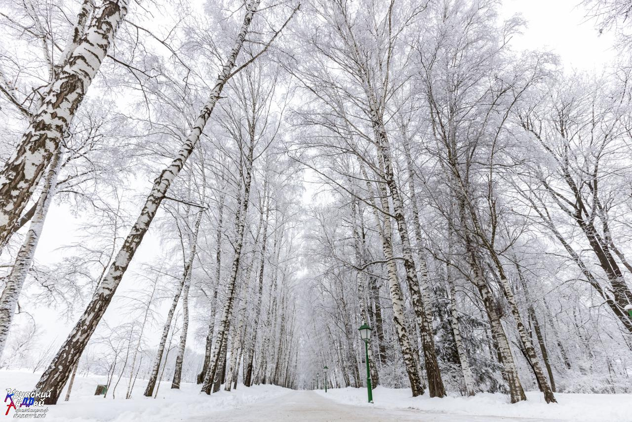 Усадьба Л. Н. Толстого «Ясная поляна» зимой. Фотограф в Туле Крупский АнДРей. Фотостудия «КАДР71» в Туле