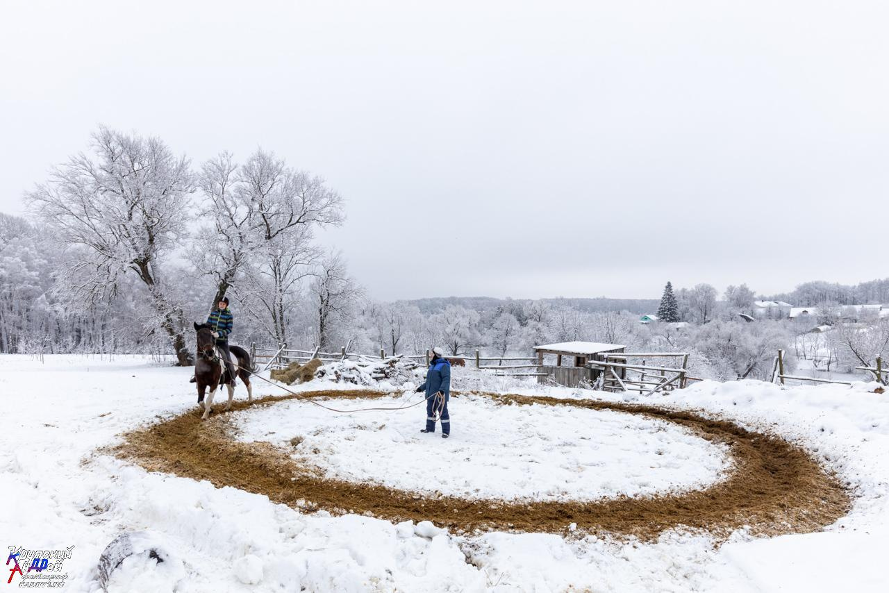 Усадьба Л. Н. Толстого «Ясная поляна» зимой. Фотограф в Туле Крупский АнДРей. Фотостудия «КАДР71» в Туле