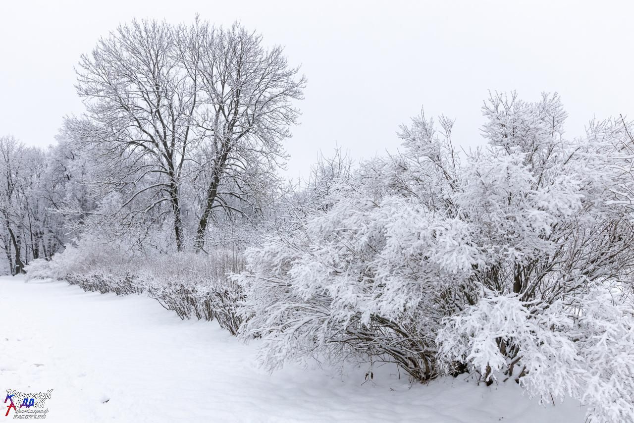 Усадьба Л. Н. Толстого «Ясная поляна» зимой. Фотограф в Туле Крупский АнДРей. Фотостудия «КАДР71» в Туле