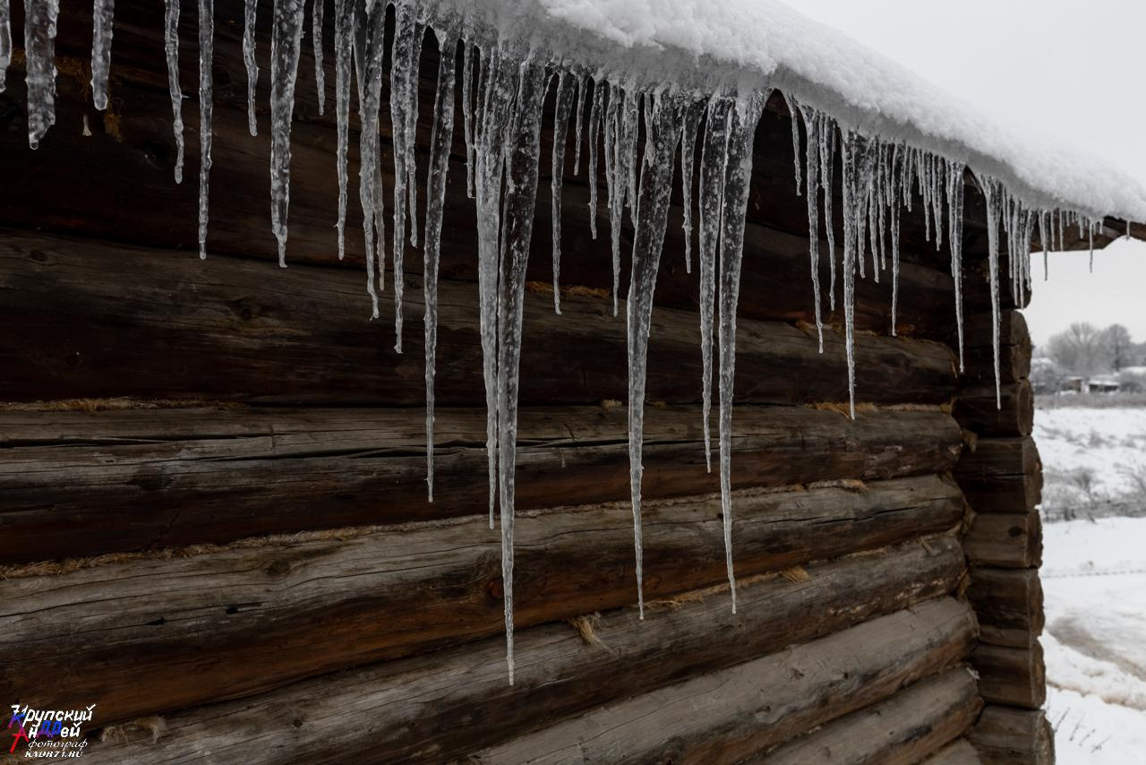 Усадьба Л. Н. Толстого «Ясная поляна» зимой. Фотограф в Туле Крупский АнДРей. Фотостудия «КАДР71» в Туле