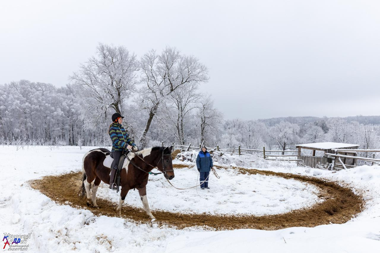 Усадьба Л. Н. Толстого «Ясная поляна» зимой. Фотограф в Туле Крупский АнДРей. Фотостудия «КАДР71» в Туле