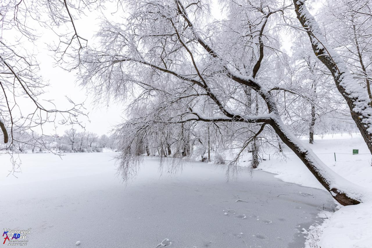 Усадьба Л. Н. Толстого «Ясная поляна» зимой. Фотограф в Туле Крупский АнДРей. Фотостудия «КАДР71» в Туле