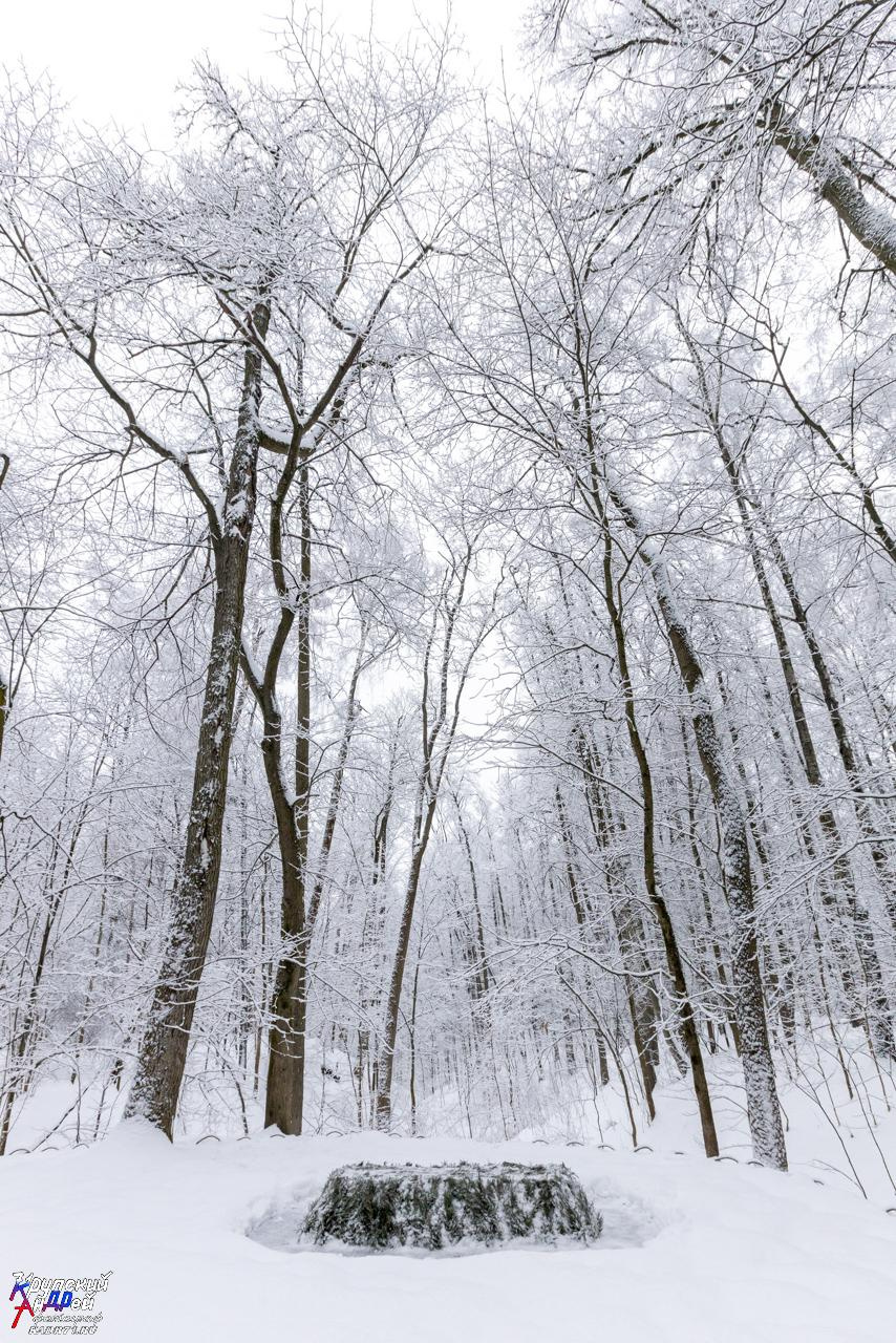 Усадьба Л. Н. Толстого «Ясная поляна» зимой. Фотограф в Туле Крупский АнДРей. Фотостудия «КАДР71» в Туле