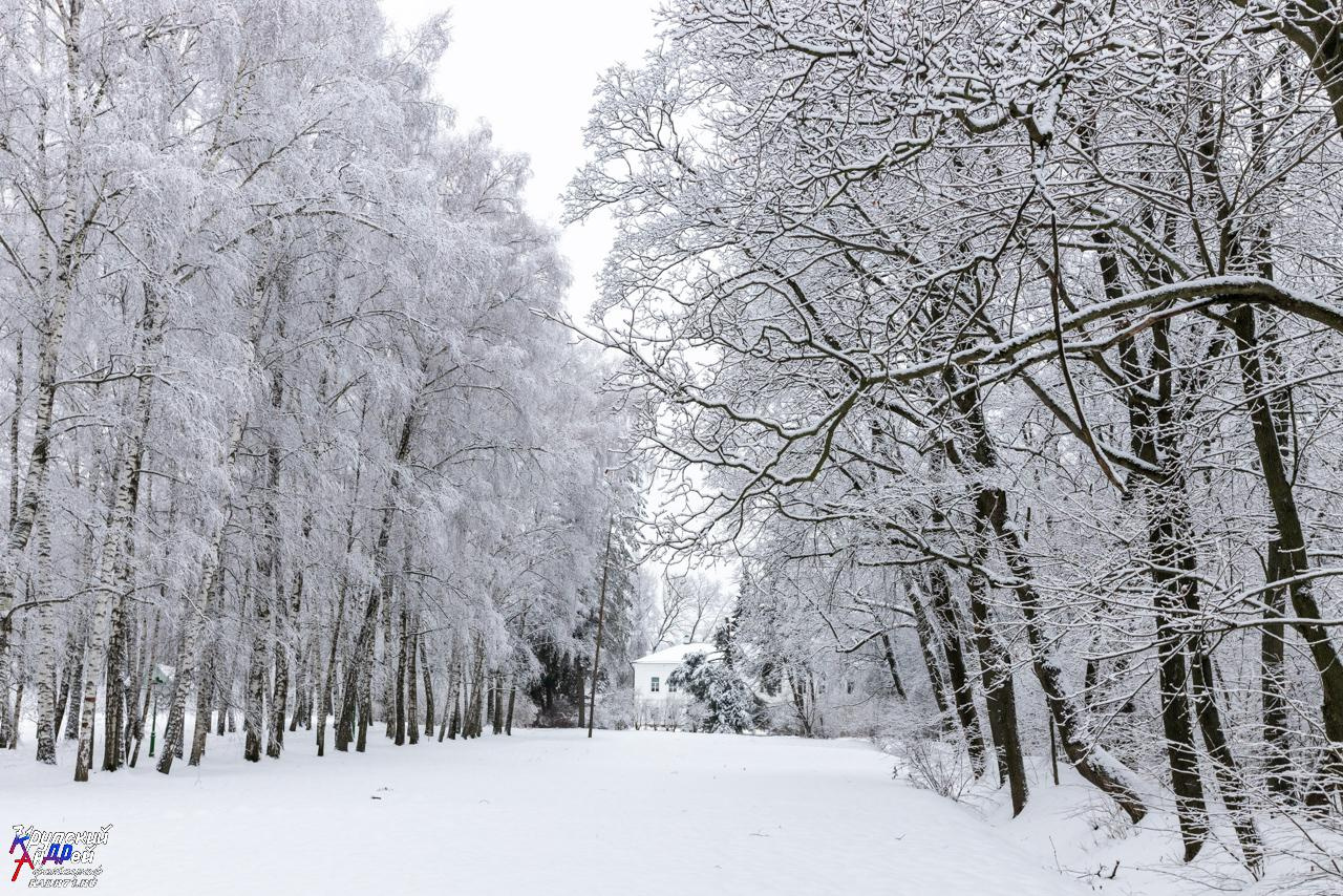 Усадьба Л. Н. Толстого «Ясная поляна» зимой. Фотограф в Туле Крупский АнДРей. Фотостудия «КАДР71» в Туле