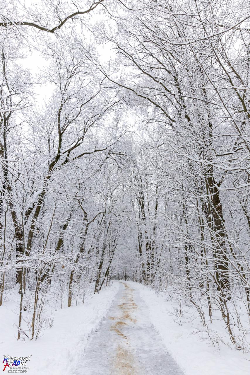 Усадьба Л. Н. Толстого «Ясная поляна» зимой. Фотограф в Туле Крупский АнДРей. Фотостудия «КАДР71» в Туле