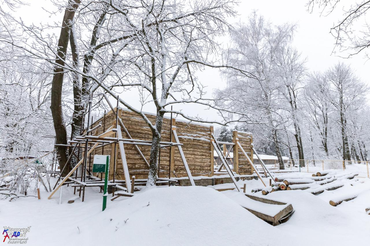 Усадьба Л. Н. Толстого «Ясная поляна» зимой. Фотограф в Туле Крупский АнДРей. Фотостудия «КАДР71» в Туле