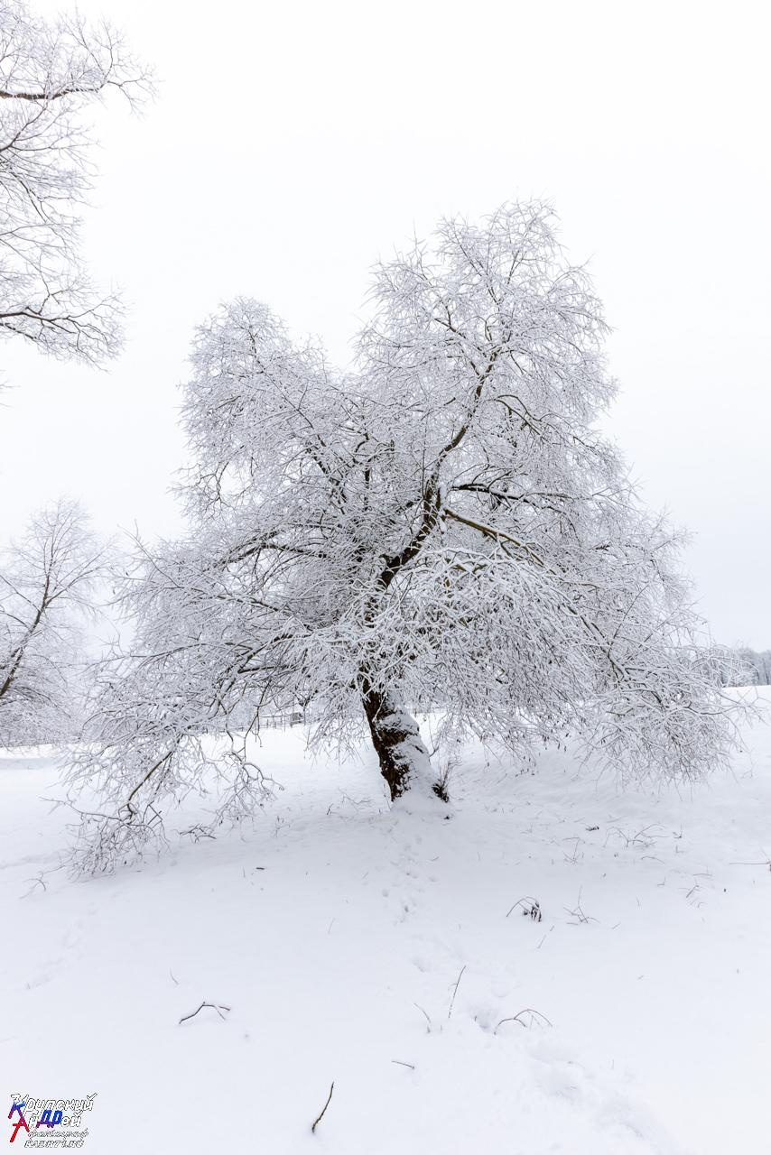 Усадьба Л. Н. Толстого «Ясная поляна» зимой. Фотограф в Туле Крупский АнДРей. Фотостудия «КАДР71» в Туле