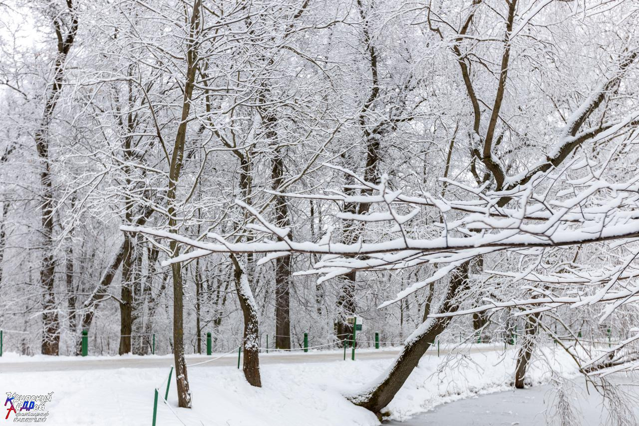 Усадьба Л. Н. Толстого «Ясная поляна» зимой. Фотограф в Туле Крупский АнДРей. Фотостудия «КАДР71» в Туле