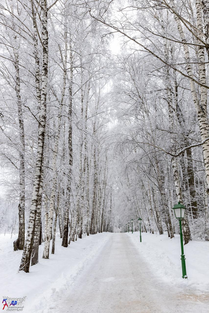 Усадьба Л. Н. Толстого «Ясная поляна» зимой. Фотограф в Туле Крупский АнДРей. Фотостудия «КАДР71» в Туле