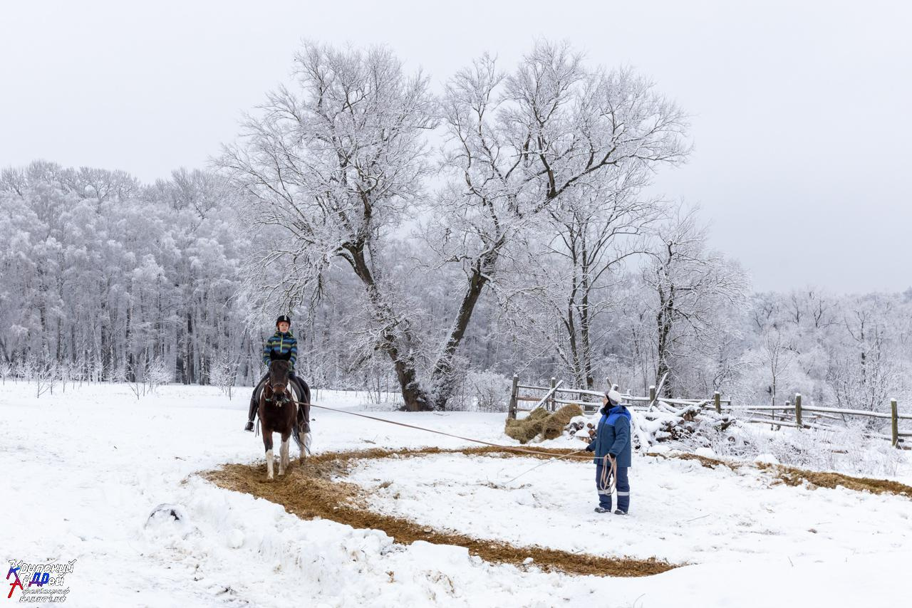 Усадьба Л. Н. Толстого «Ясная поляна» зимой. Фотограф в Туле Крупский АнДРей. Фотостудия «КАДР71» в Туле