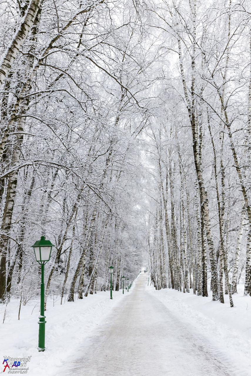 Усадьба Л. Н. Толстого «Ясная поляна» зимой. Фотограф в Туле Крупский АнДРей. Фотостудия «КАДР71» в Туле