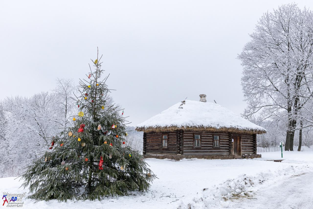 Усадьба Л. Н. Толстого «Ясная поляна» зимой. Фотограф в Туле Крупский АнДРей. Фотостудия «КАДР71» в Туле