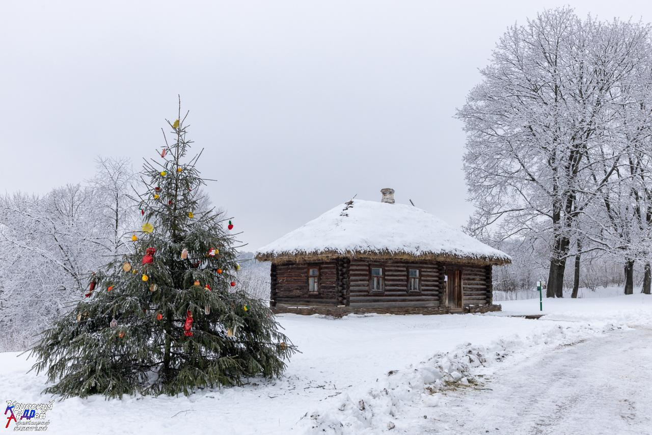 Усадьба Л. Н. Толстого «Ясная поляна» зимой. Фотограф в Туле Крупский АнДРей. Фотостудия «КАДР71» в Туле