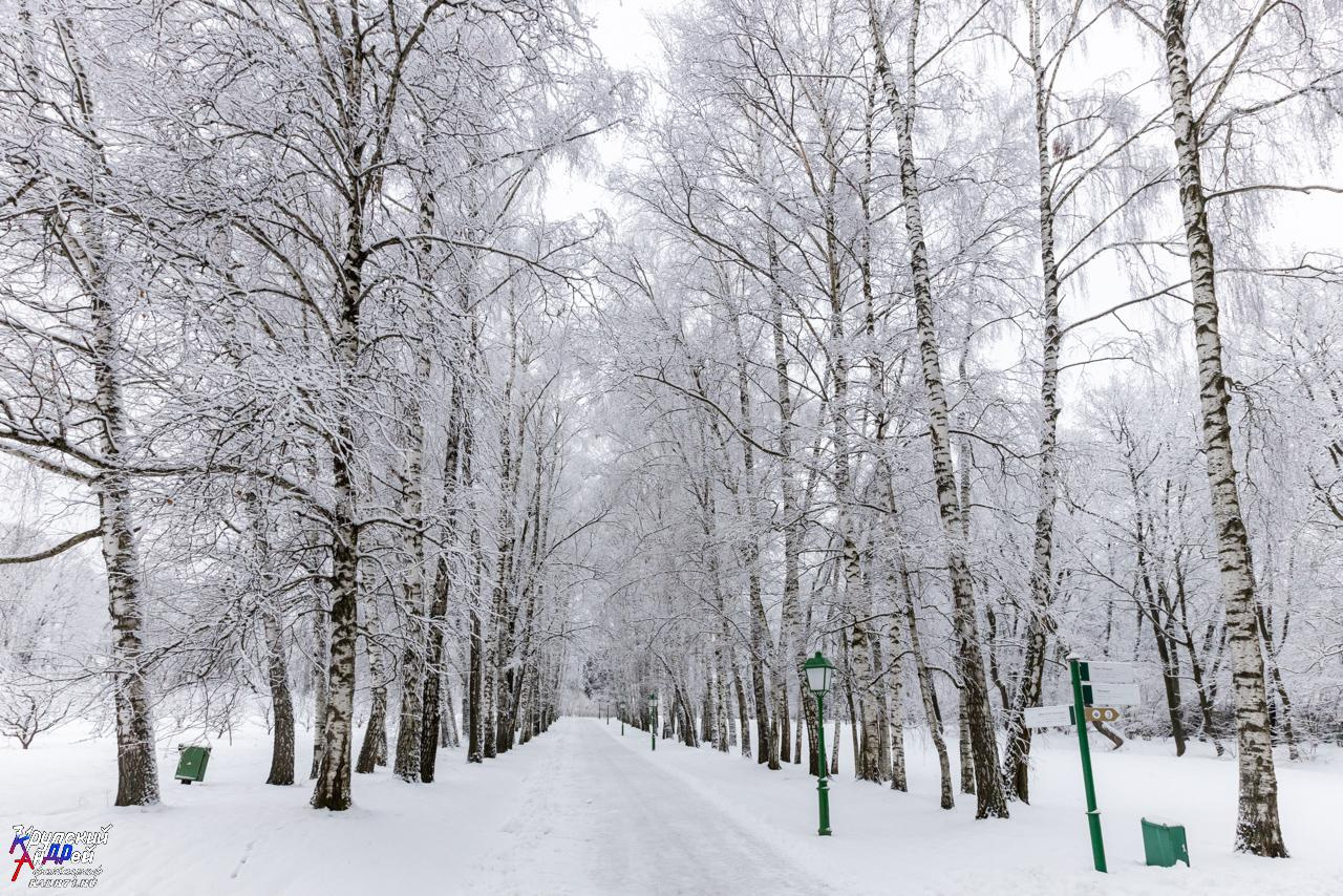 Усадьба Л. Н. Толстого «Ясная поляна» зимой. Фотограф в Туле Крупский АнДРей. Фотостудия «КАДР71» в Туле