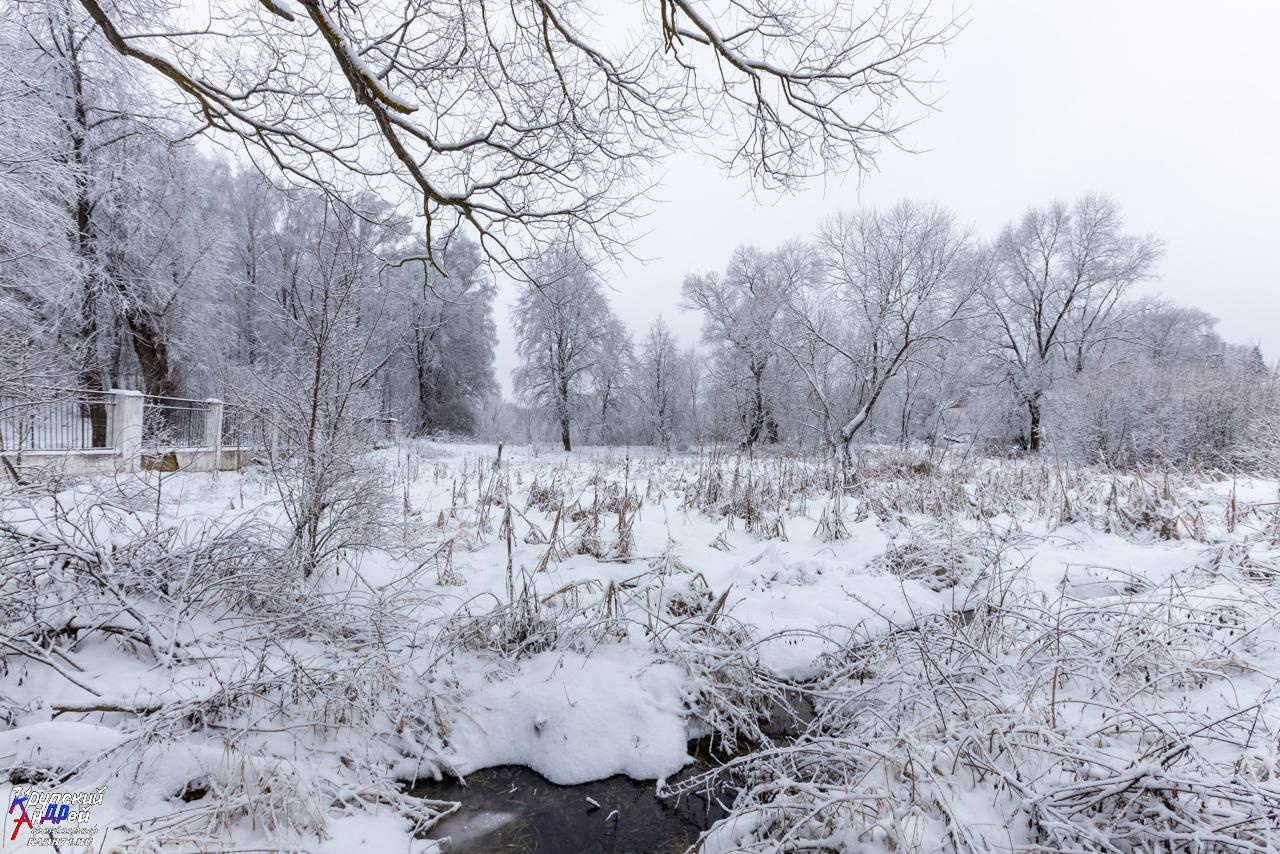 Усадьба Л. Н. Толстого «Ясная поляна» зимой. Фотограф в Туле Крупский АнДРей. Фотостудия «КАДР71» в Туле