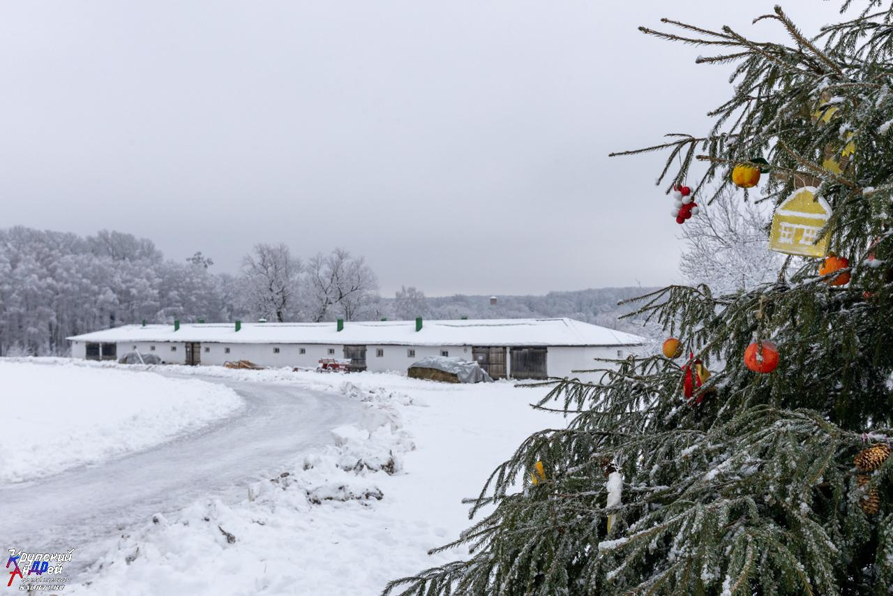Усадьба Л. Н. Толстого «Ясная поляна» зимой. Фотограф в Туле Крупский АнДРей. Фотостудия «КАДР71» в Туле