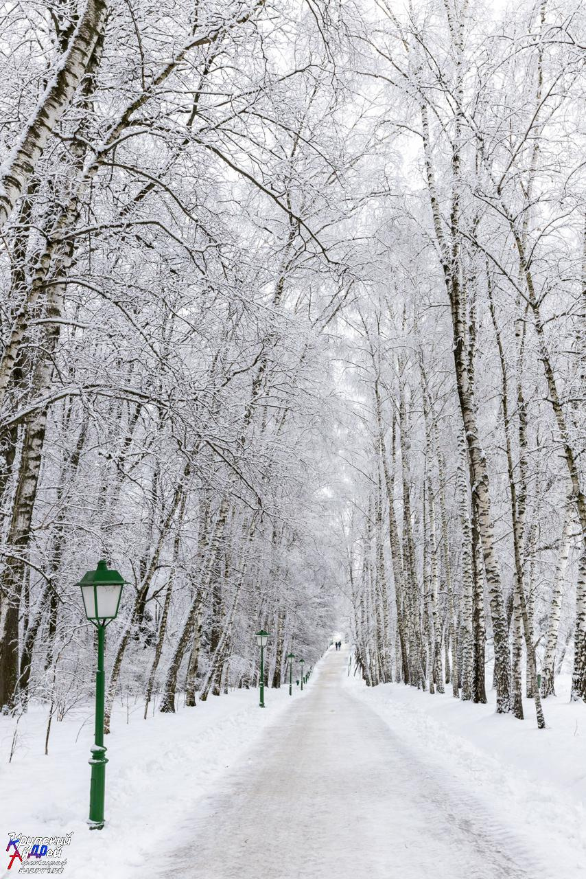 Усадьба Л. Н. Толстого «Ясная поляна» зимой. Фотограф в Туле Крупский АнДРей. Фотостудия «КАДР71» в Туле