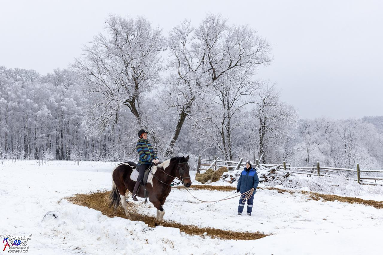 Усадьба Л. Н. Толстого «Ясная поляна» зимой. Фотограф в Туле Крупский АнДРей. Фотостудия «КАДР71» в Туле