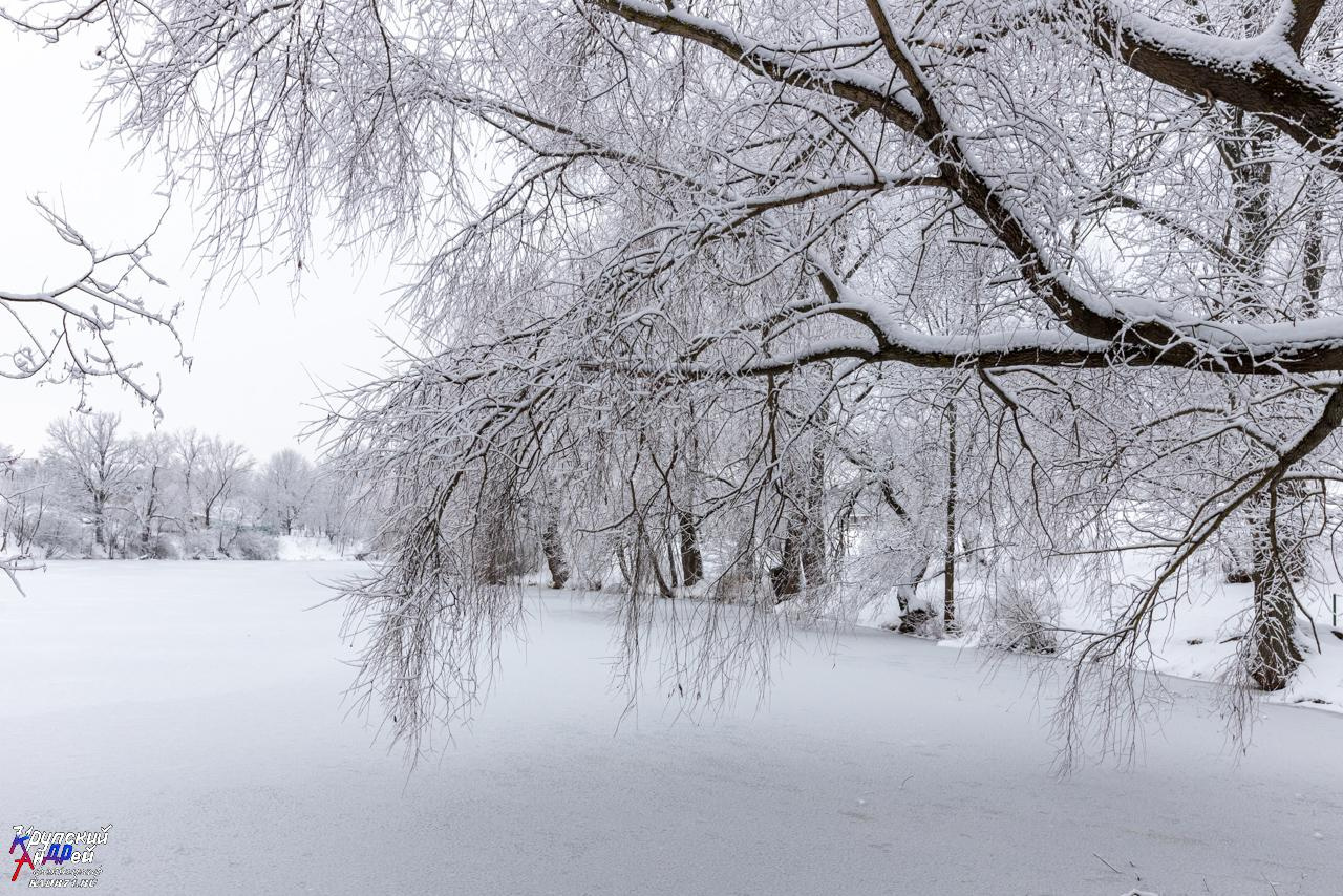 Усадьба Л. Н. Толстого «Ясная поляна» зимой. Фотограф в Туле Крупский АнДРей. Фотостудия «КАДР71» в Туле