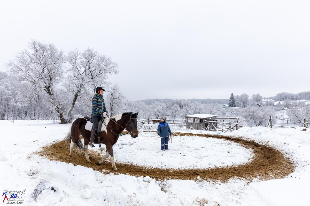 Усадьба Л. Н. Толстого «Ясная поляна» зимой. Фотограф в Туле Крупский АнДРей. Фотостудия «КАДР71» в Туле