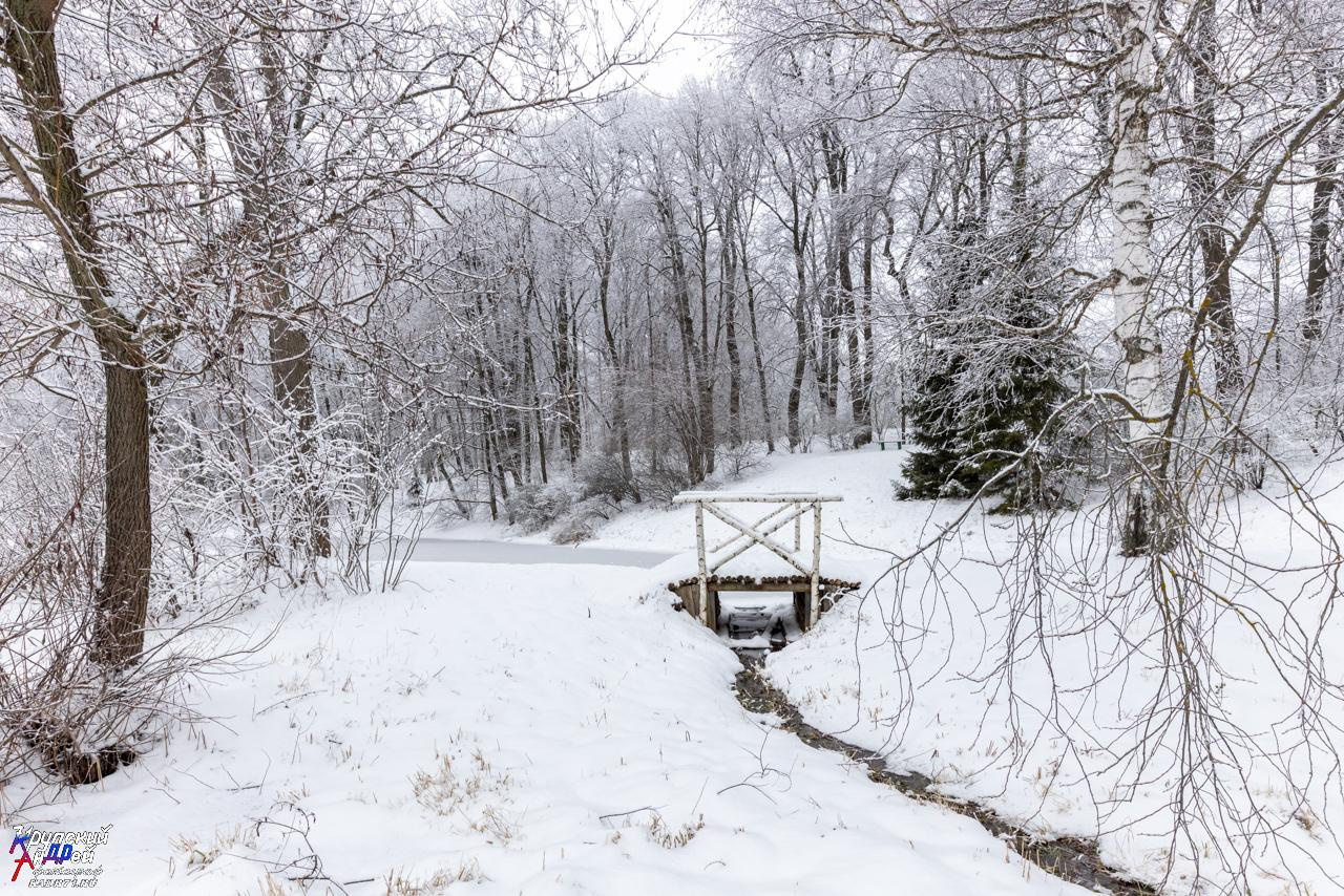 Усадьба Л. Н. Толстого «Ясная поляна» зимой. Фотограф в Туле Крупский АнДРей. Фотостудия «КАДР71» в Туле