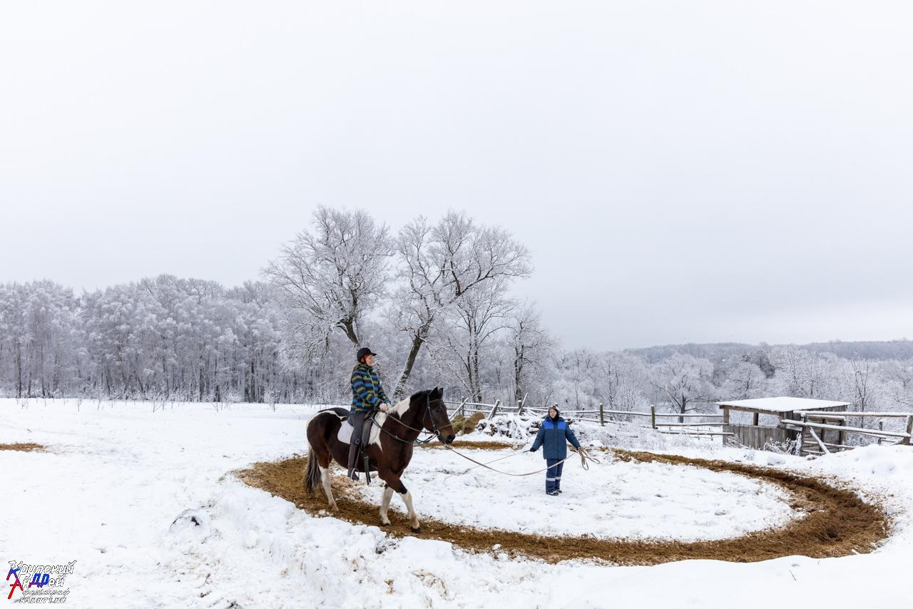 Усадьба Л. Н. Толстого «Ясная поляна» зимой. Фотограф в Туле Крупский АнДРей. Фотостудия «КАДР71» в Туле