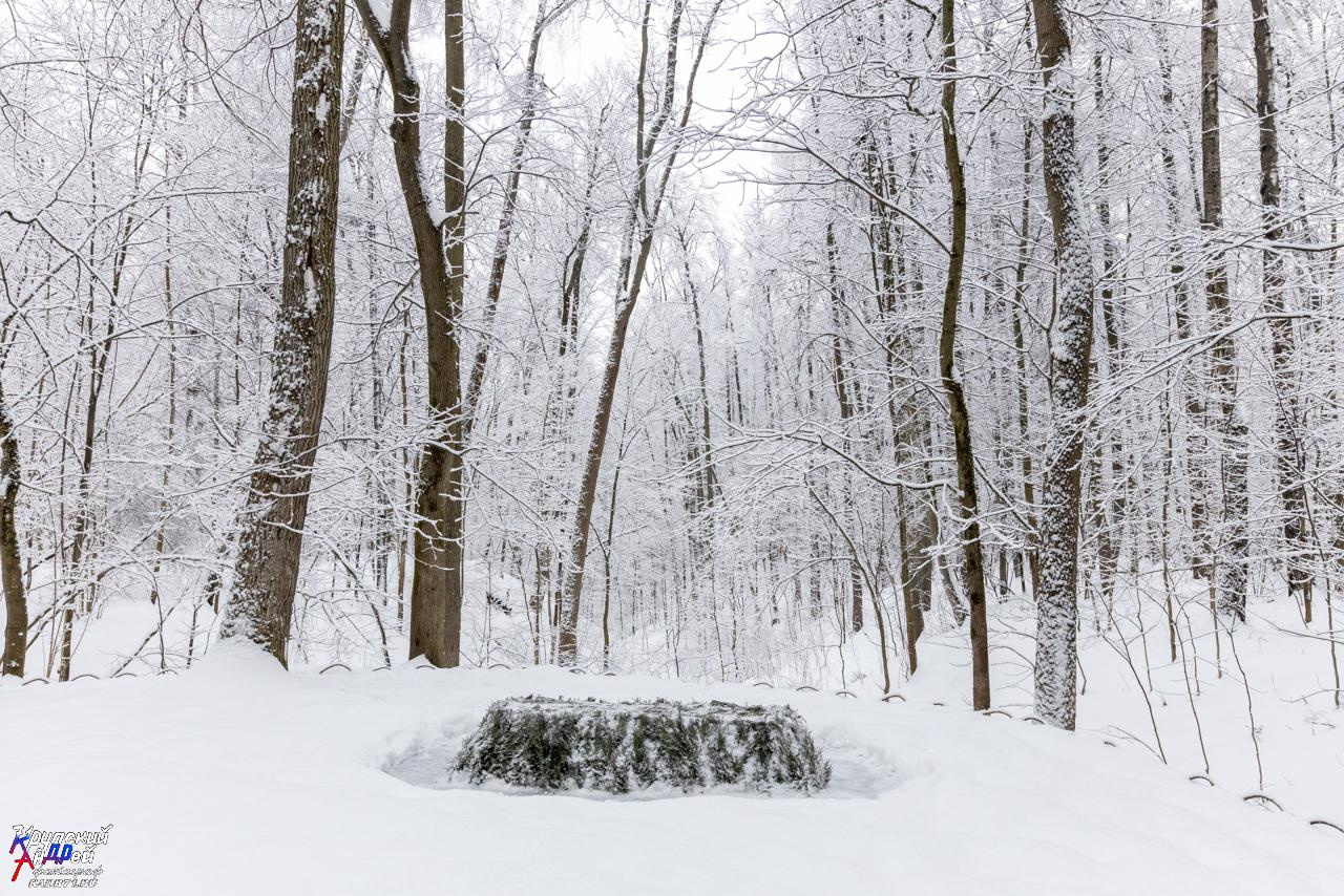 Усадьба Л. Н. Толстого «Ясная поляна» зимой. Фотограф в Туле Крупский АнДРей. Фотостудия «КАДР71» в Туле