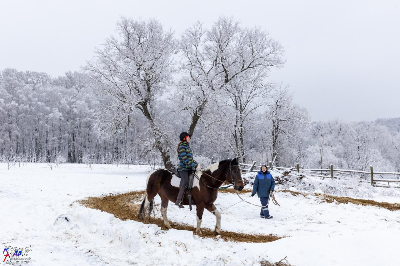 Усадьба Л. Н. Толстого «Ясная поляна» зимой. Фотограф в Туле Крупский АнДРей. Фотостудия «КАДР71» в Туле