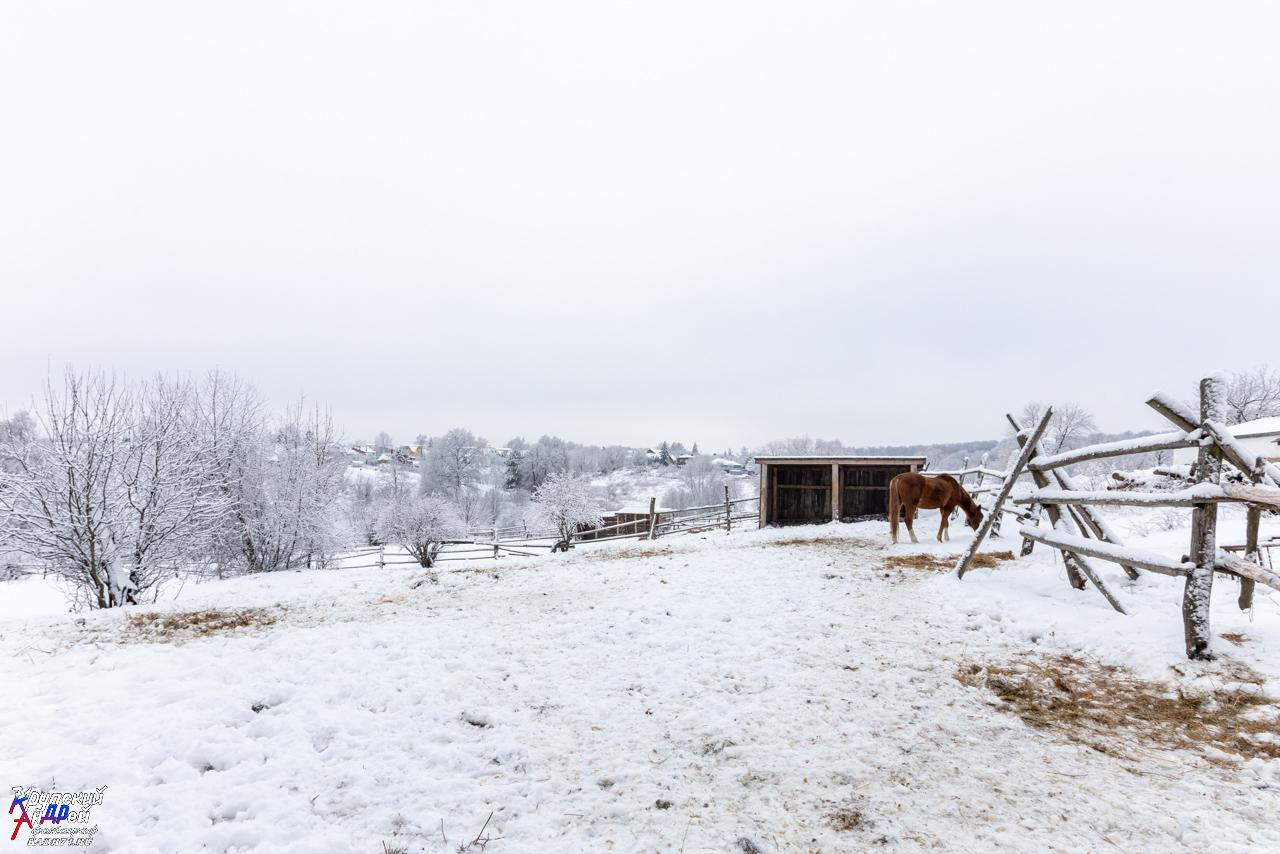 Усадьба Л. Н. Толстого «Ясная поляна» зимой. Фотограф в Туле Крупский АнДРей. Фотостудия «КАДР71» в Туле
