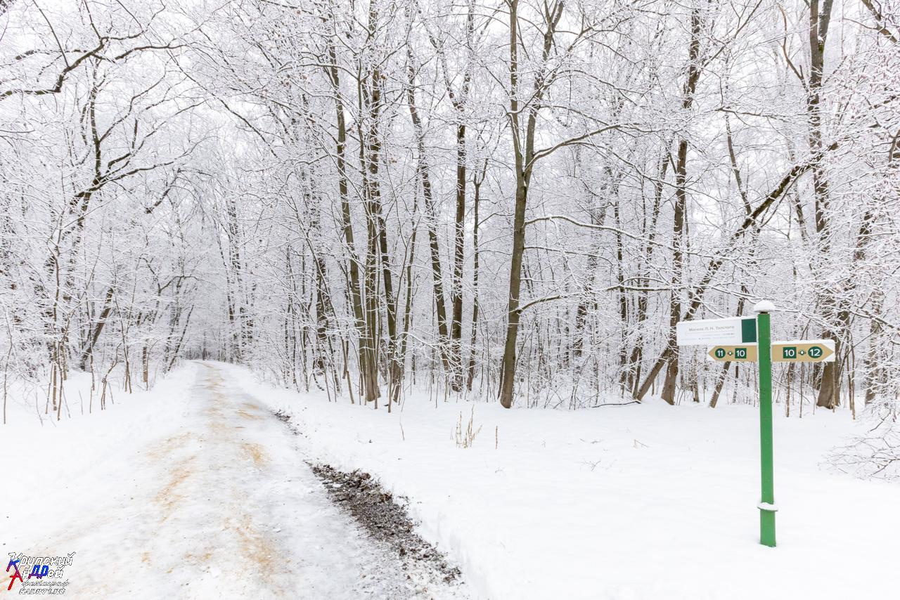 Усадьба Л. Н. Толстого «Ясная поляна» зимой. Фотограф в Туле Крупский АнДРей. Фотостудия «КАДР71» в Туле