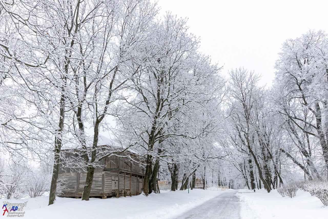 Усадьба Л. Н. Толстого «Ясная поляна» зимой. Фотограф в Туле Крупский АнДРей. Фотостудия «КАДР71» в Туле
