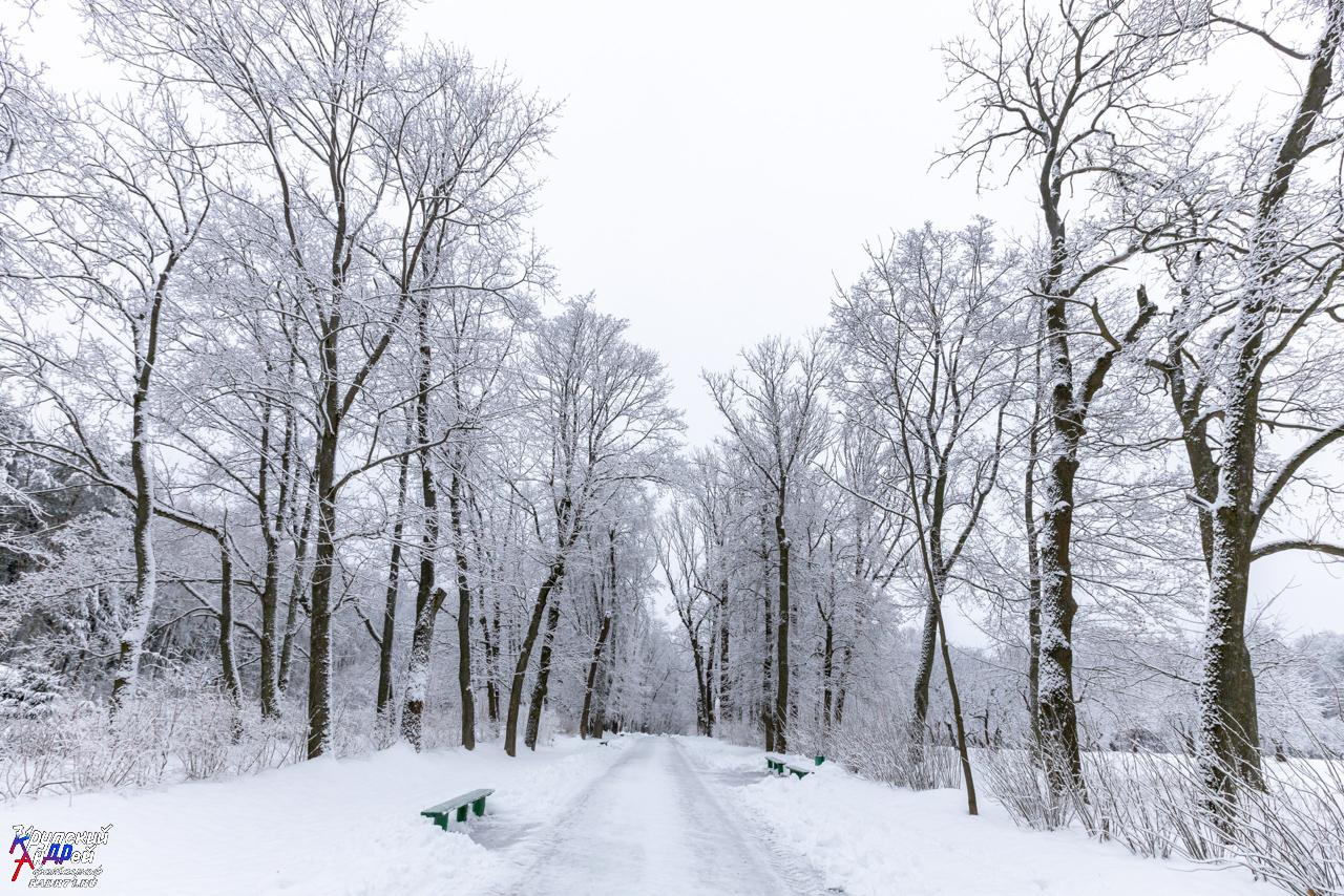 Усадьба Л. Н. Толстого «Ясная поляна» зимой. Фотограф в Туле Крупский АнДРей. Фотостудия «КАДР71» в Туле