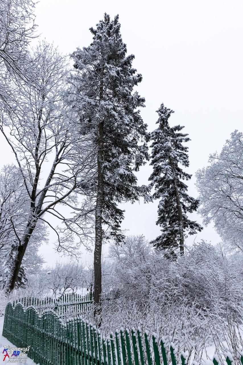 Усадьба Л. Н. Толстого «Ясная поляна» зимой. Фотограф в Туле Крупский АнДРей. Фотостудия «КАДР71» в Туле