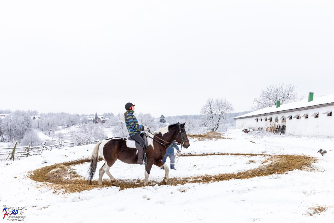 Усадьба Л. Н. Толстого «Ясная поляна» зимой. Фотограф в Туле Крупский АнДРей. Фотостудия «КАДР71» в Туле