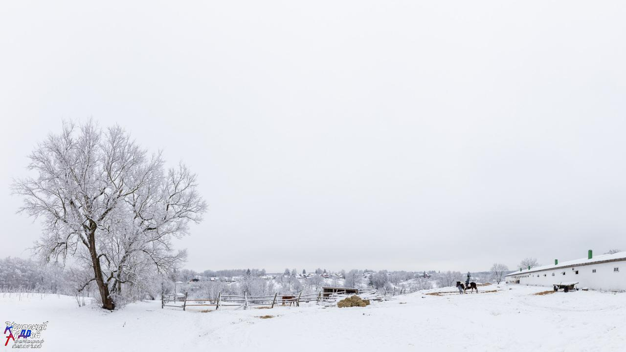 Усадьба Л. Н. Толстого «Ясная поляна» зимой. Фотограф в Туле Крупский АнДРей. Фотостудия «КАДР71» в Туле