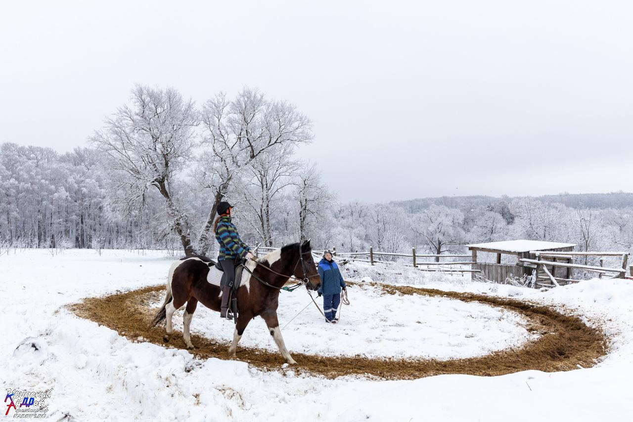 Усадьба Л. Н. Толстого «Ясная поляна» зимой. Фотограф в Туле Крупский АнДРей. Фотостудия «КАДР71» в Туле
