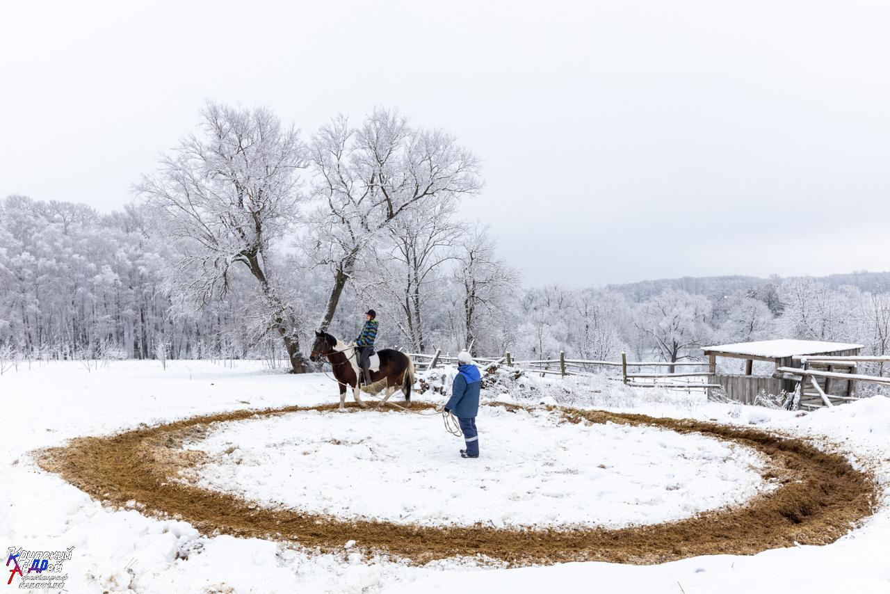 Усадьба Л. Н. Толстого «Ясная поляна» зимой. Фотограф в Туле Крупский АнДРей. Фотостудия «КАДР71» в Туле