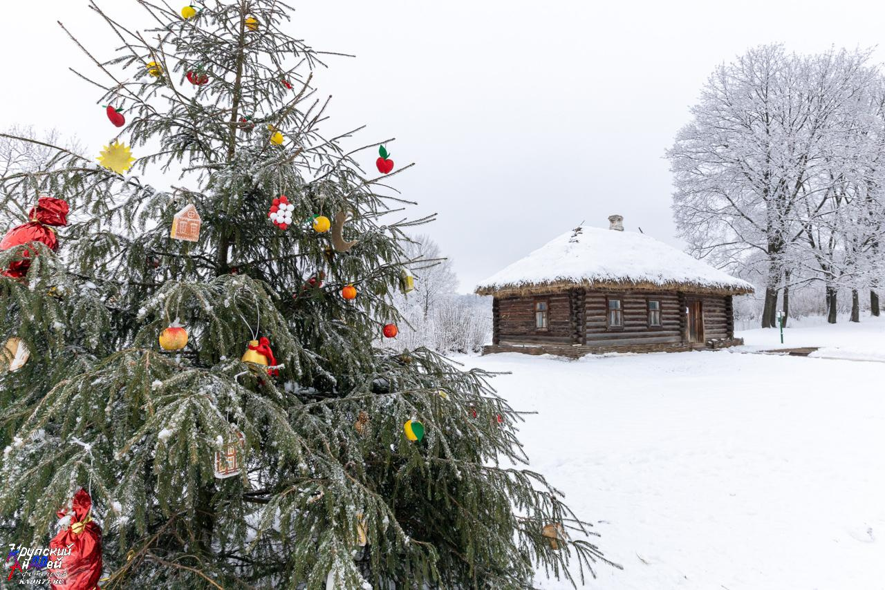 Усадьба Л. Н. Толстого «Ясная поляна» зимой. Фотограф в Туле Крупский АнДРей. Фотостудия «КАДР71» в Туле