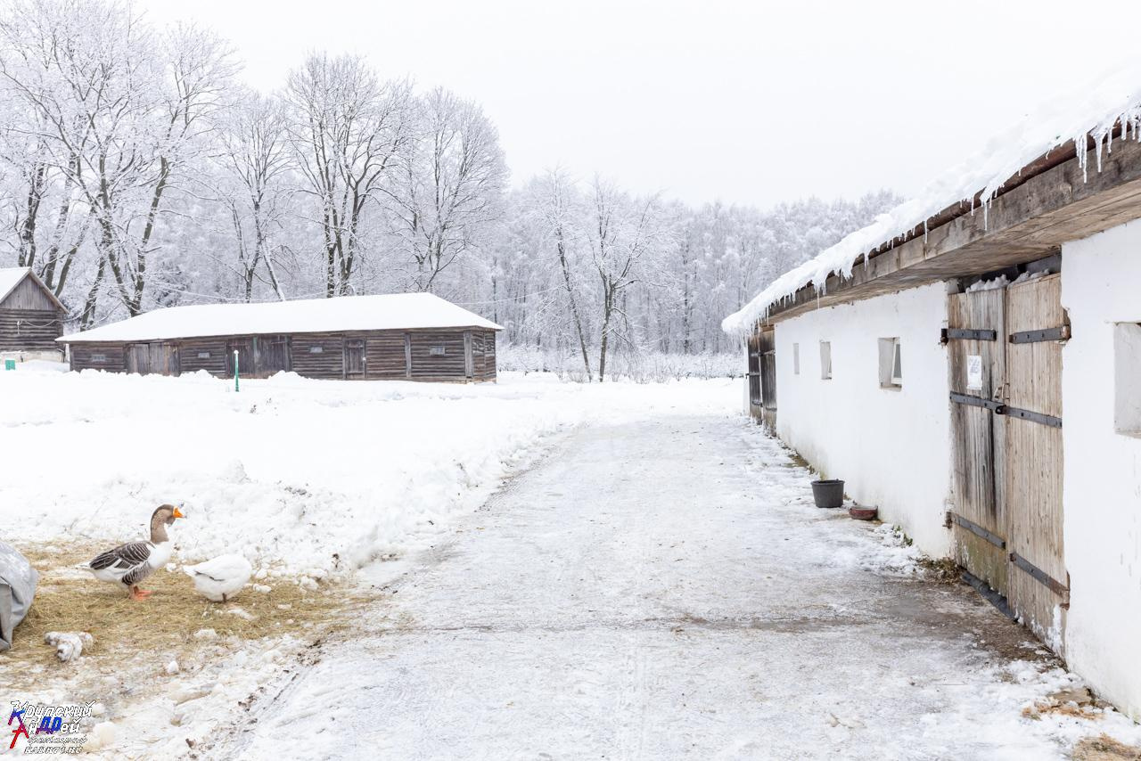 Усадьба Л. Н. Толстого «Ясная поляна» зимой. Фотограф в Туле Крупский АнДРей. Фотостудия «КАДР71» в Туле